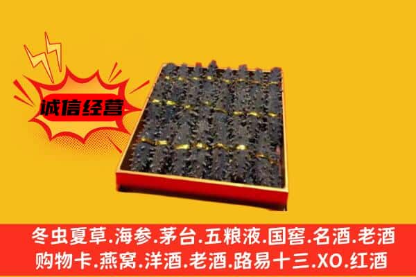 云浮市新兴回收海参